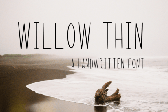 Willow Thin